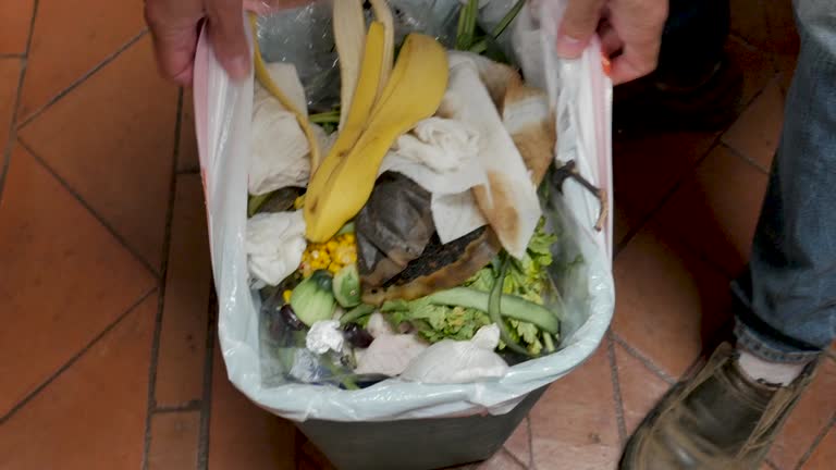 Best Construction Debris Removal  in Litchfield, MI